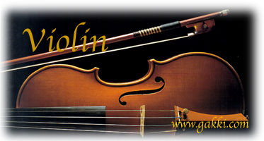バイオリン弦